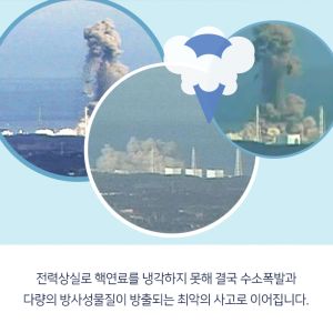 Fukushima 09.jpg
