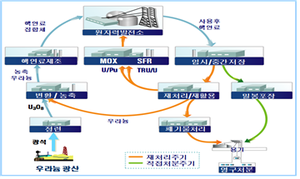 경수로 핵연료주기.png