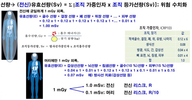 파일:유효선량 흡수선량 계산 설명.JPG