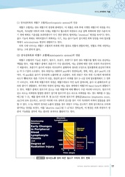 다음 페이지 →