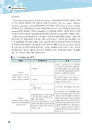 다음 페이지 →