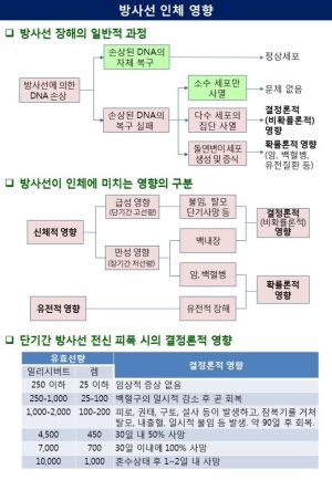 백원필5.2.jpg